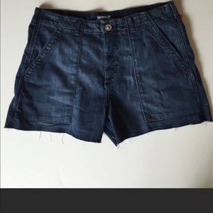 Hudson Shorts